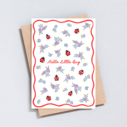 Hello Little Bug new baby card featuring hand-painted ladybirds, delicate flowers and a red scalloped border.
